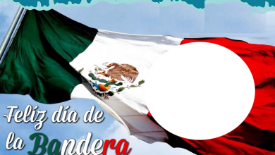 Feliz dia de la bandera mexicana marco 1 390x220 - Feliz dia de la bandera mexicana marco