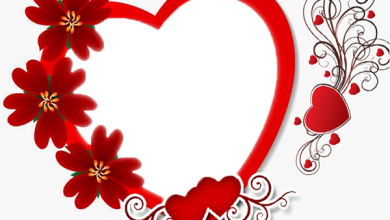 Marco de regalo de corazón con rosas para el día de San Valentín 390x220 - Marco de regalo de corazón con rosas para el día de San Valentín