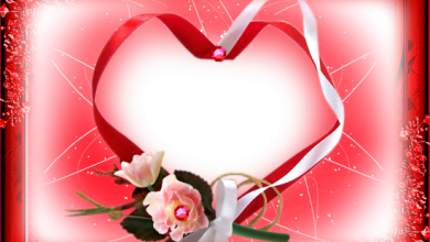 cute red love heart love photo frame 390x220 - cute red love heart love photo frame