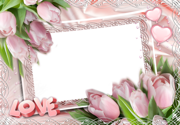 pink roses romantic photo frame - pink roses romantic photo frame