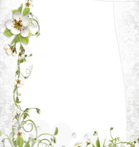 Un marco de pequeñas rosas blancas Marcos para Fotos 443x470 - Un marco de pequeñas rosas blancas Marcos para Fotos