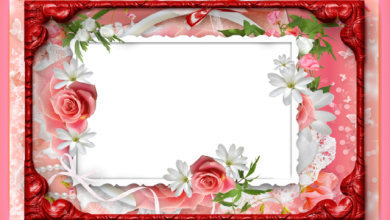 marco de fotos romantico de flores rojas 390x220 - marco de fotos romántico de flores rojas