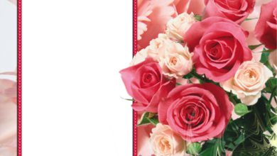marco de fotos rosa con ramo de flores de colores 390x220 - marco de fotos rosa con ramo de flores de colores