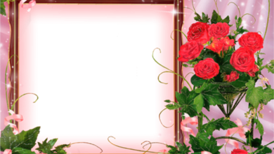 marco de fotos rosa con ramo de flores rojas 390x220 - marco de fotos rosa con ramo de flores rojas