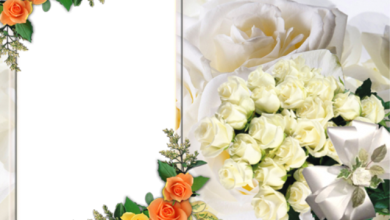 marco de fotos de flores romanticas 390x220 - marco de fotos de flores románticas
