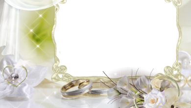 boda blanca con marco de fotos de 2 anillos 390x220 - boda blanca con marco de fotos de 2 anillos