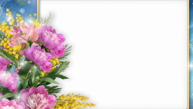 marco de fotos cuadrado con flores romanticas 390x220 - marco de fotos cuadrado con flores románticas